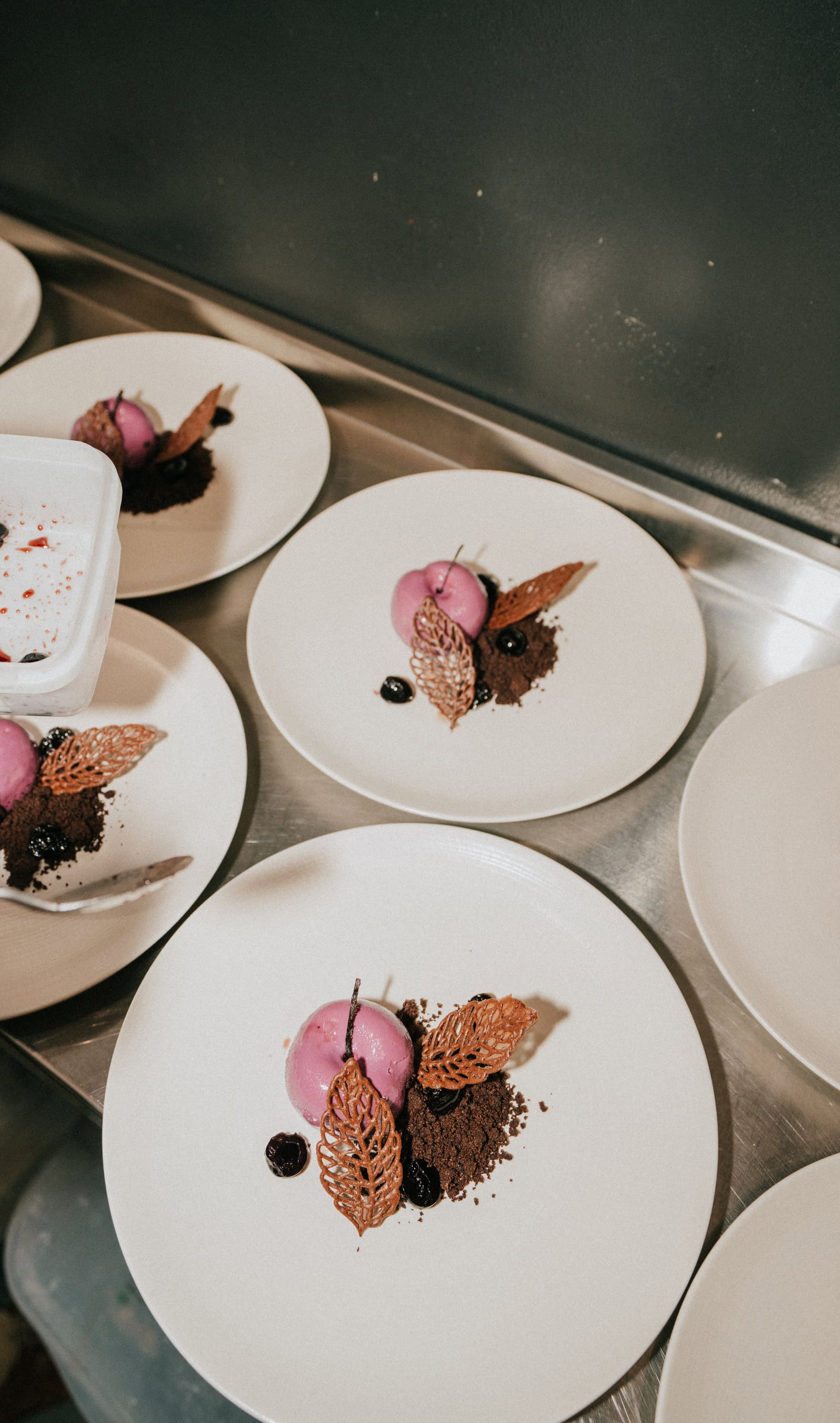 A row of plated desserts on the pass: blackcurrant sorbet, chocolate soil and a tuile leaf
